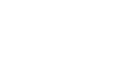 Sho Group logo